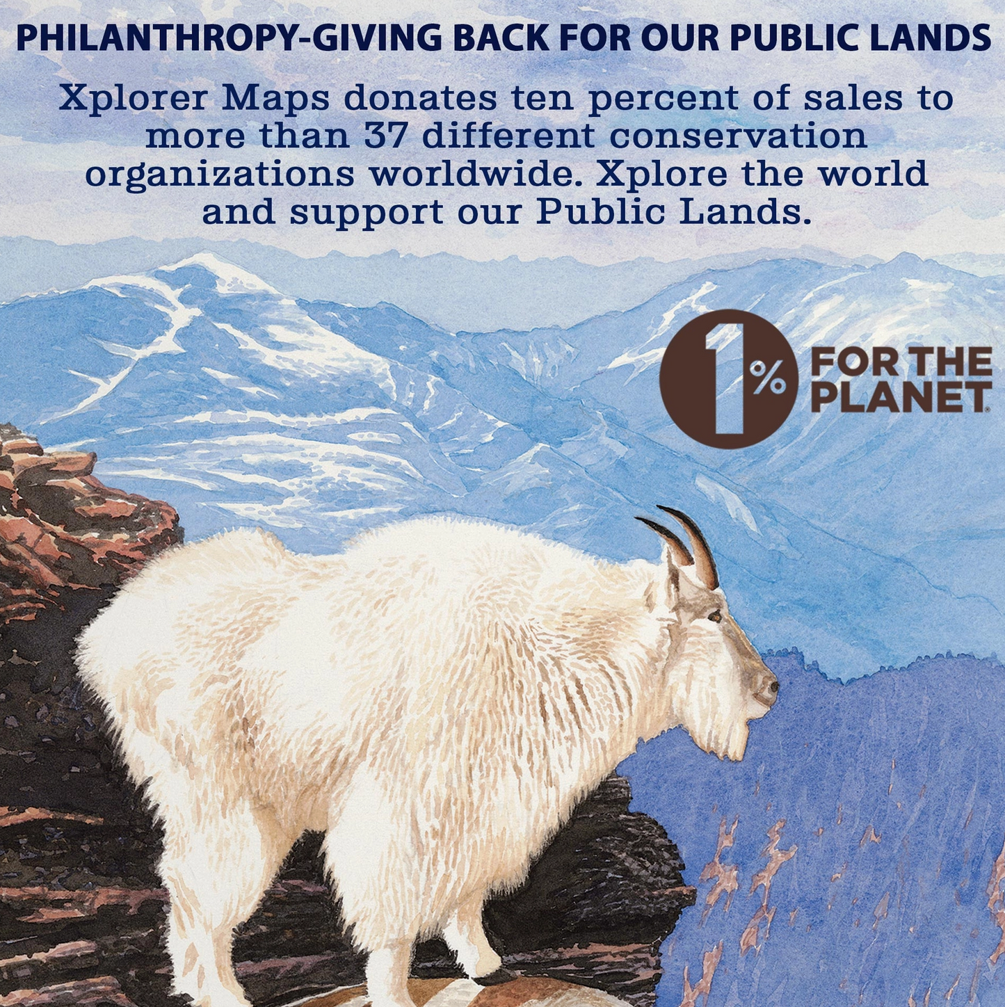 Montana's Flathead Lake Hand-Drawn Map