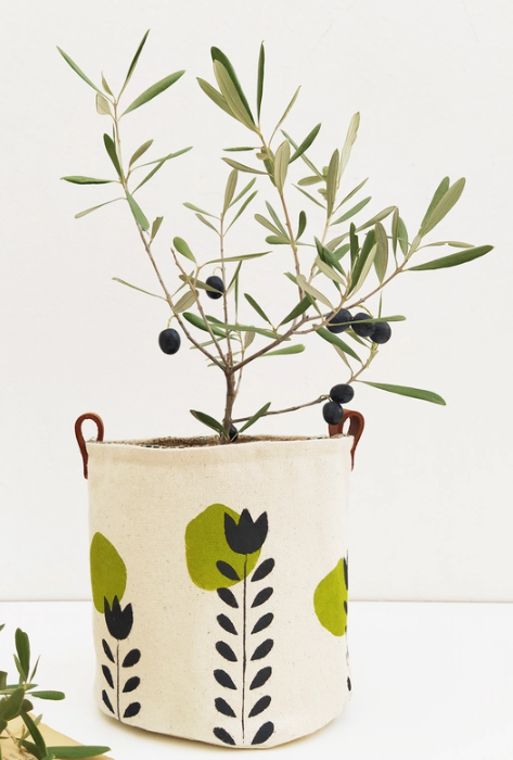 Modern indoor planter