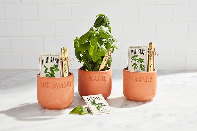 Mud Pie Herb Planting Kit