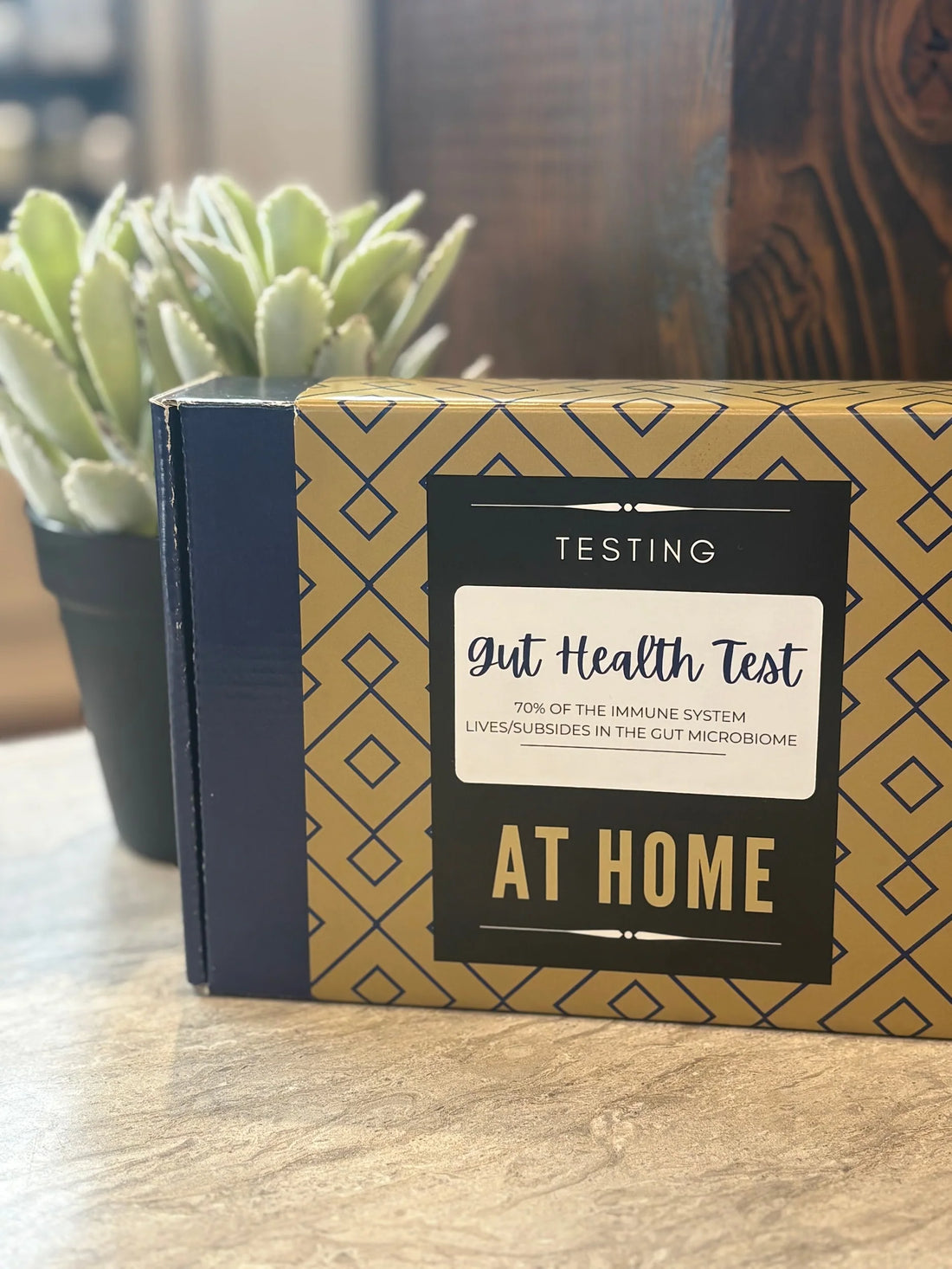 Gut Health and Hormones: How Your Microbiome Influences Estrogen, Cortisol, and More