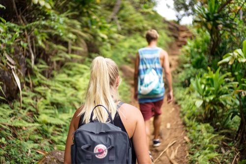 Summer Wellness Guide: 4 Ways to Thrive in Great Falls, Montana