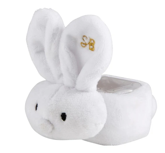 Inspirational Boo-Bunnie