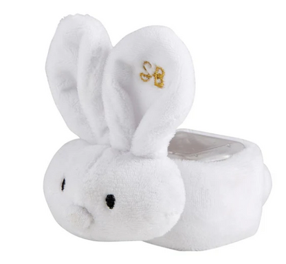 Inspirational Boo-Bunnie