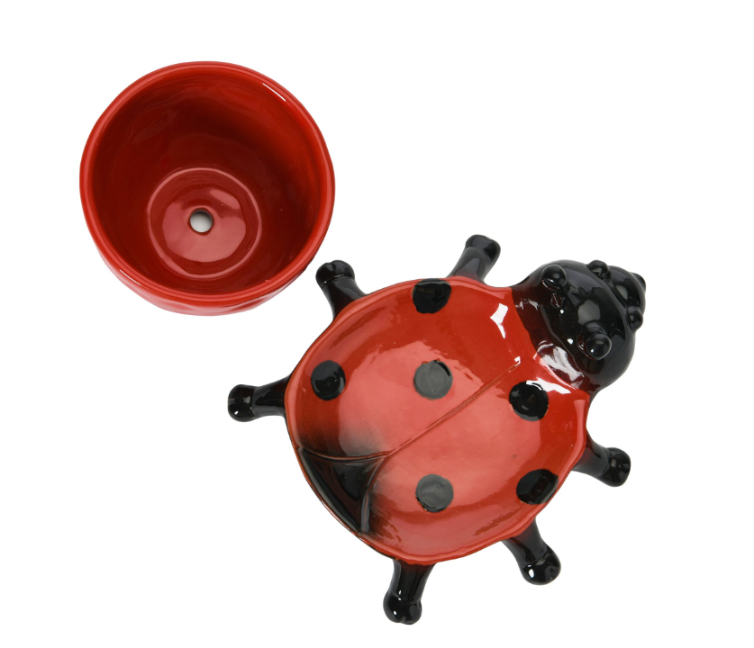Ladybug Planter with Saucer and Reactive Glaze by Creative Coop