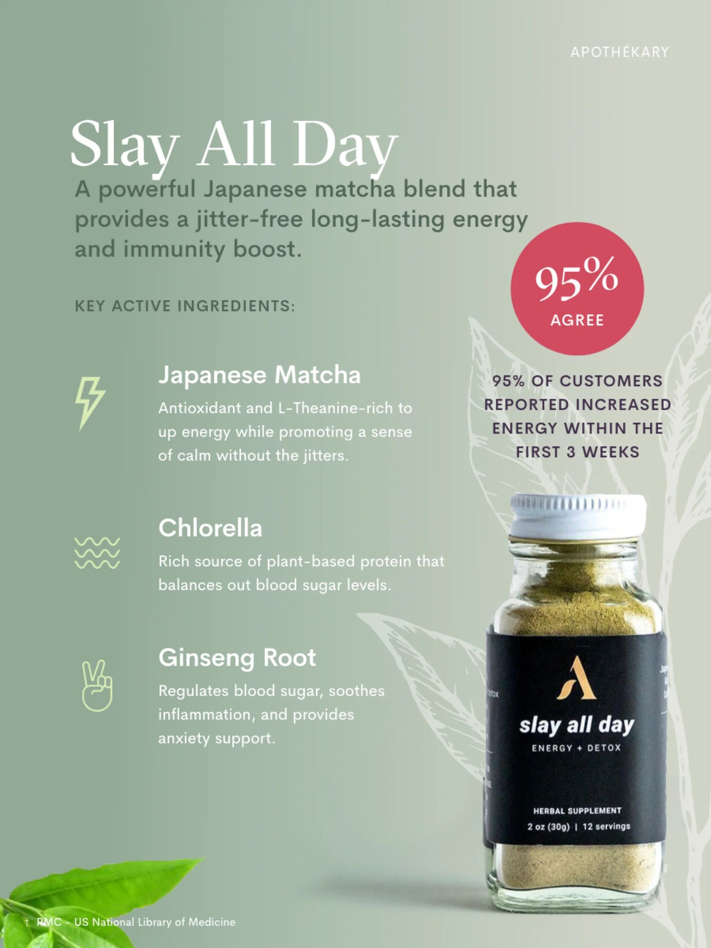 Slay All Day-Apothekary